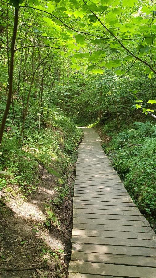 Pokoje Goscinne Maj - Rozewie Jastrzębia Góra エクステリア 写真